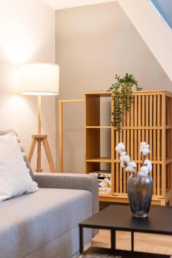 Hypercentre / Gares - Duplex Apartment Lille France